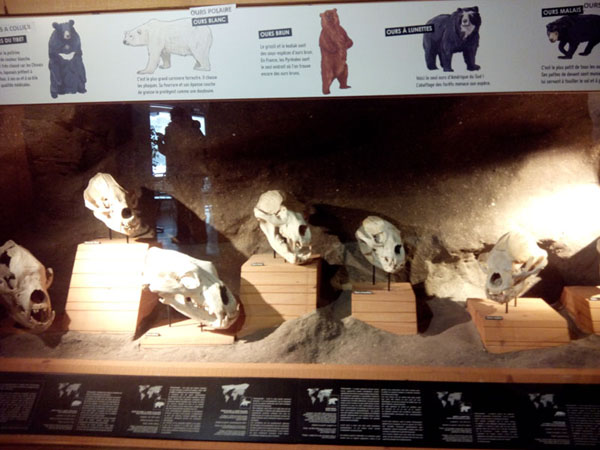 vitrine 2